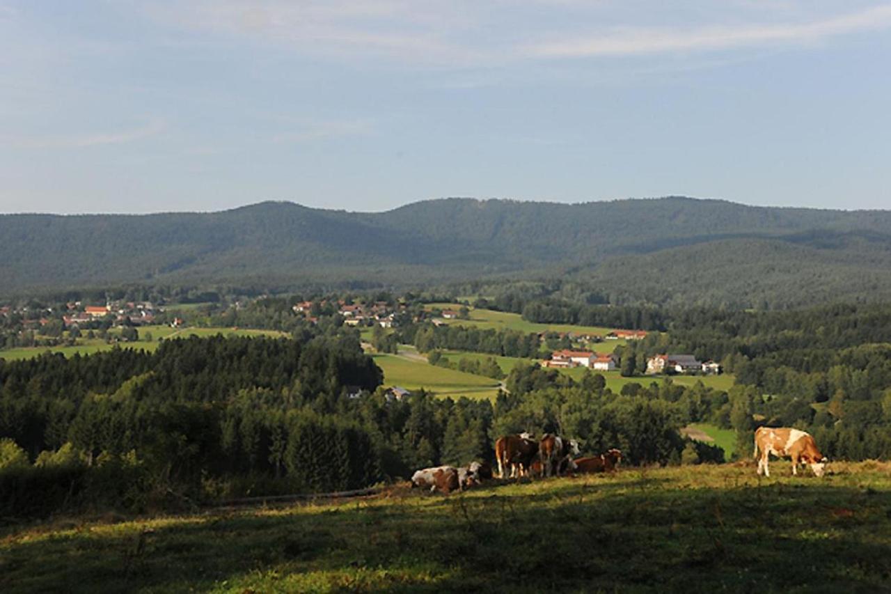 Exenbacher Hof - Pension Арнбрукк Экстерьер фото